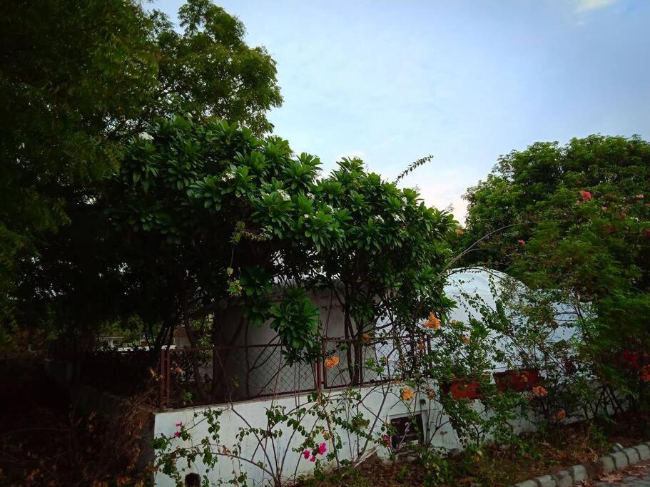 Mamta'S Home- Kensville Nanodra Bagian luar foto