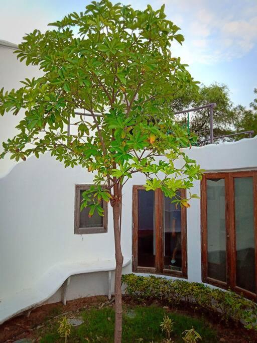 Mamta'S Home- Kensville Nanodra Bagian luar foto