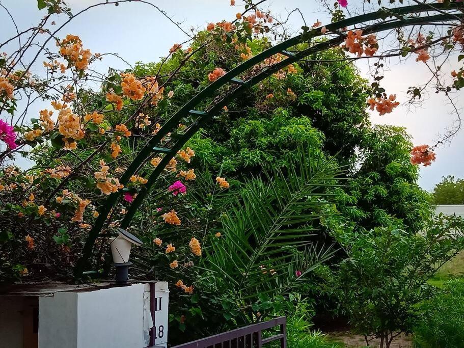 Mamta'S Home- Kensville Nanodra Bagian luar foto