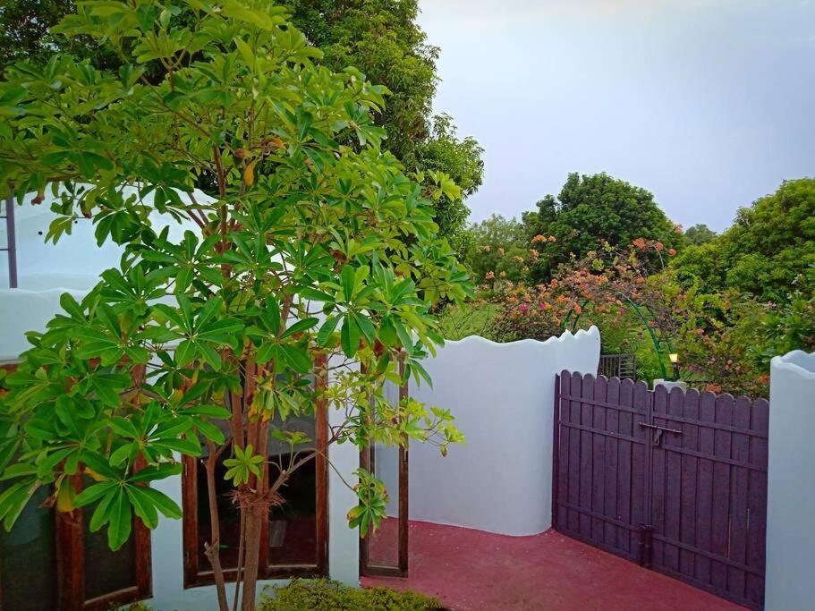 Mamta'S Home- Kensville Nanodra Bagian luar foto