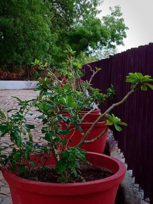 Mamta'S Home- Kensville Nanodra Bagian luar foto