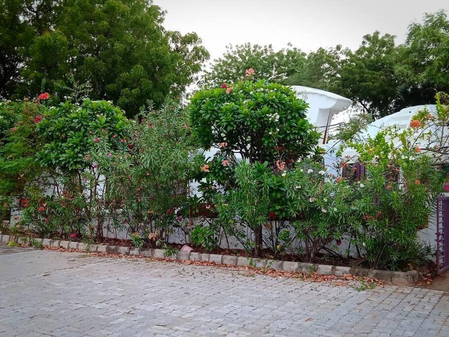 Mamta'S Home- Kensville Nanodra Bagian luar foto